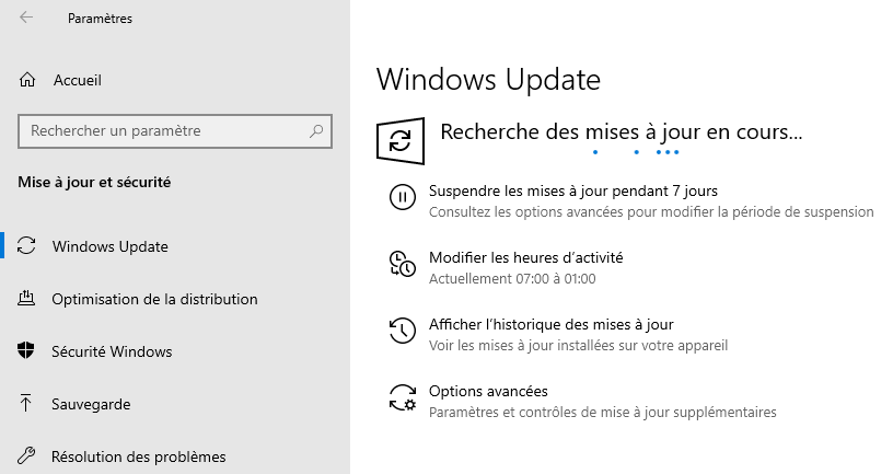 screenshot of windows looking for update